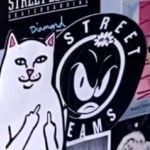 Meet your Posher, Izzy